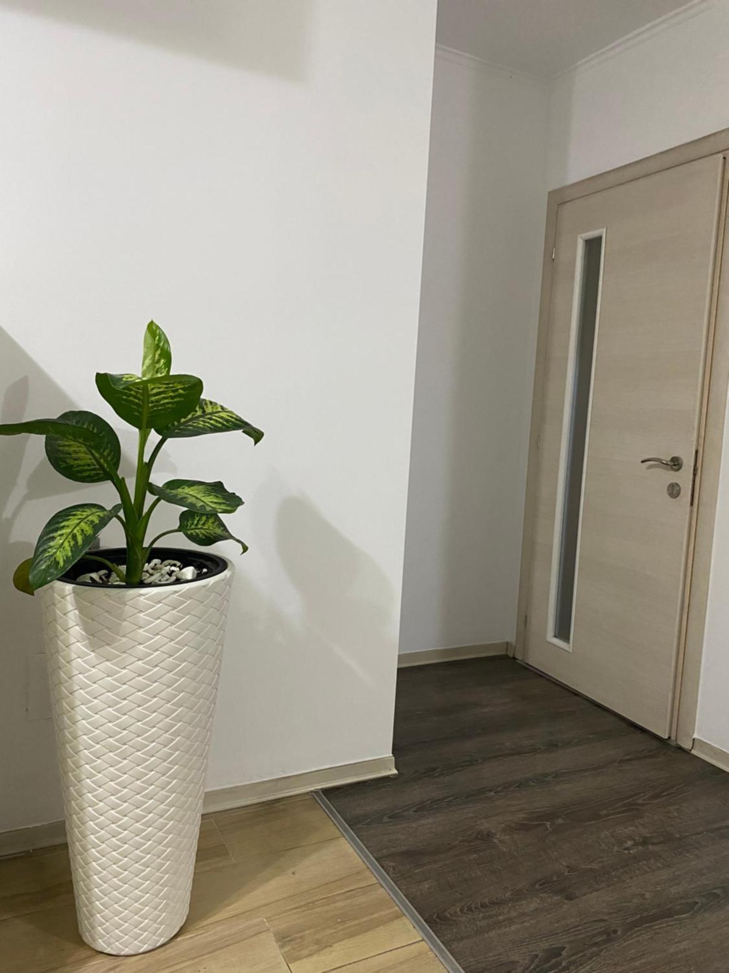 Main Apartment Tiranë Eksteriør bilde